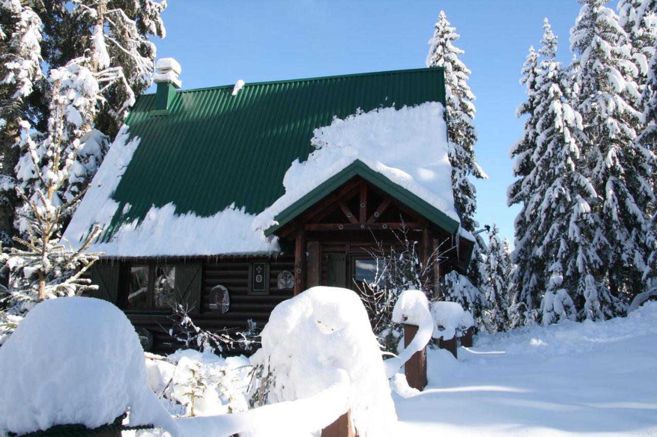 Durmitor Chalet Zabljak  Exterior photo